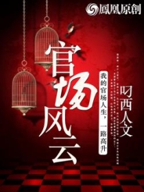 官場風雲小說封面